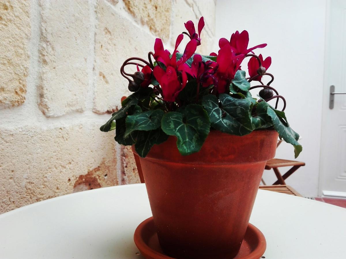 My Rooms Ciutadella Adults Only By My Rooms Hotels Ti Екстериор снимка
